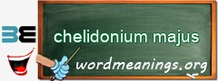 WordMeaning blackboard for chelidonium majus